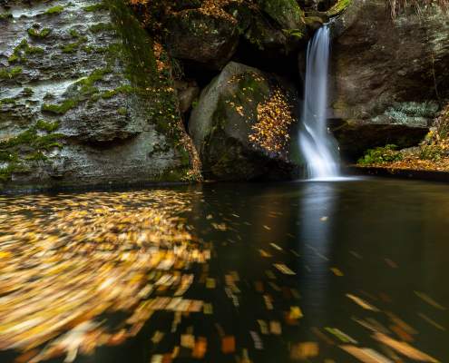 Fotoreise Sächsische Schweiz - Gelobtbach-Wasserfall
