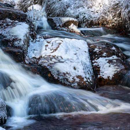 Frost an der Warmen Bode im Harz