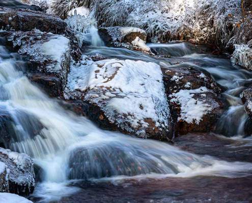 Frost an der Warmen Bode im Harz