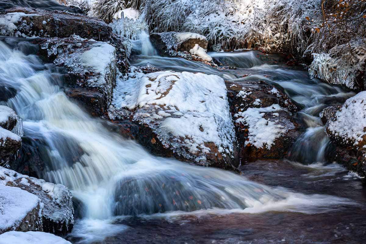 Frost an der Warmen Bode im Harz