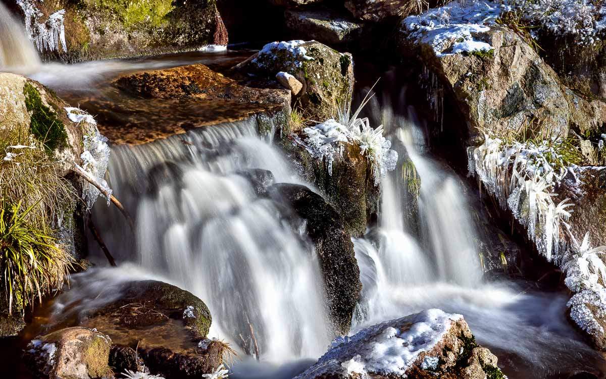 Frost an der Warmen Bode im Harz