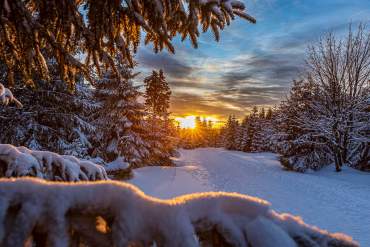 Winter-Fotokurse und Fotowanderungen im Winter im Harz
