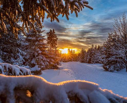 Winter-Fotokurse und Fotowanderungen im Winter im Harz