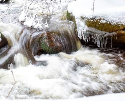 Fotoworkshop Wochenende im Harz - Winter 2023