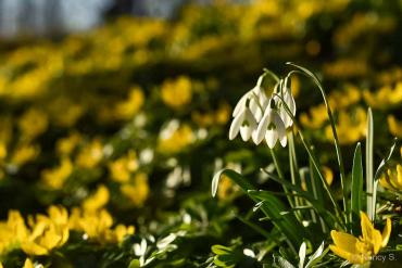 Einzelcoaching Grundlagen der Fotografie im Park Hohenrode