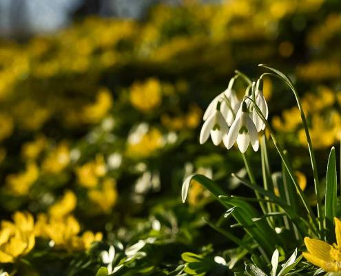 Einzelcoaching Grundlagen der Fotografie im Park Hohenrode