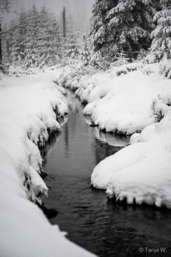 Fotoworkshop-Wochenende Harz-Winter