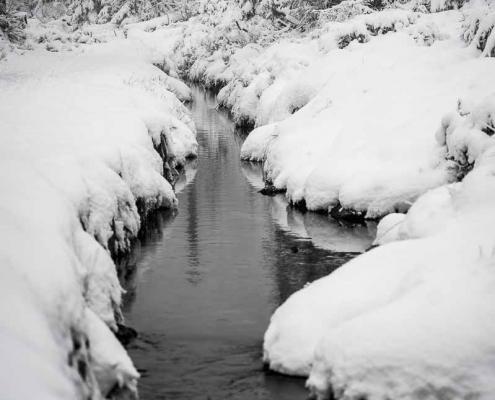 Fotoworkshop-Wochenende Harz-Winter Fotoworkshop-Wochenende Harz-Winter