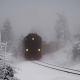 Fotoworkshop-Wochenende Harz-Winter