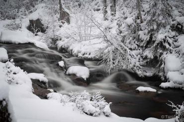 Fotoworkshop-Wochenende Harz-Winter