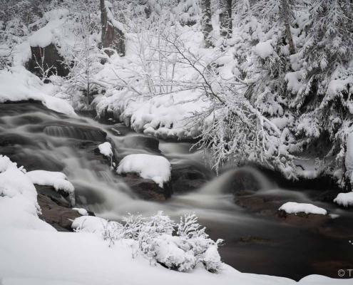 Fotoworkshop-Wochenende Harz-Winter