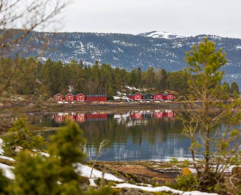 Nordlicht-Fotoreise - Norwegen 2023
