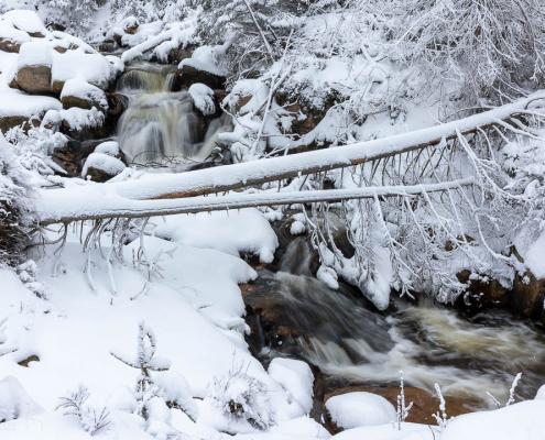 Winter an der Warmen Bode im Harz