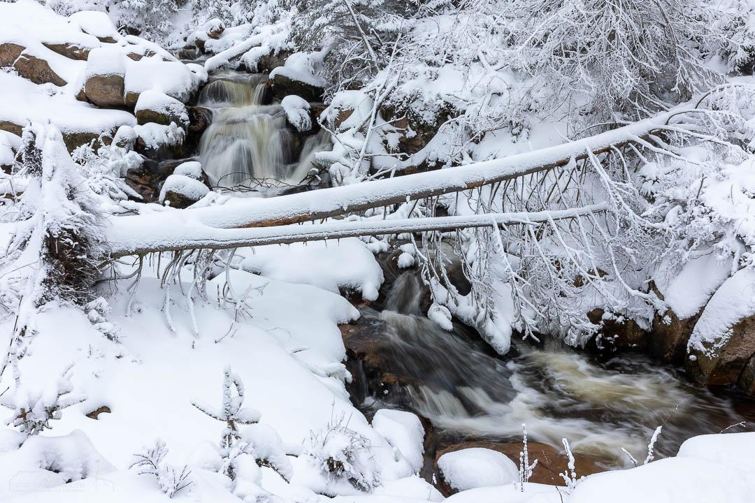 Winter an der Warmen Bode im Harz