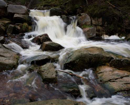 Fotokurs Langzeitbelichtung im Nationalpark Harz