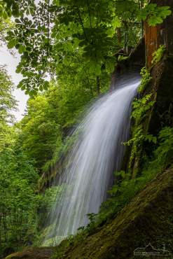 Wasserkraftwerk Niezelgrund - Fotoreise Sächsische Schweiz