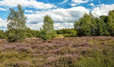 Fotoreise Eifel und Luxemburger Schweiz