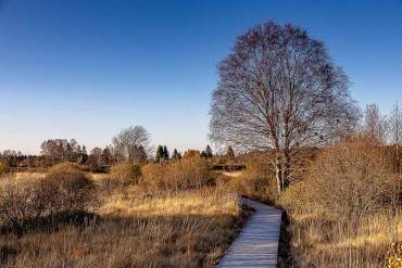 Fotoreise Eifel und Luxemburger Schweiz