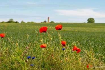 Fotoreise Ostseeinsel Rügen
