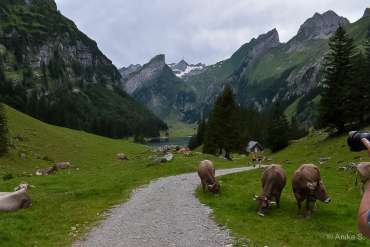 Fotoreise Schweiz - Alpstein