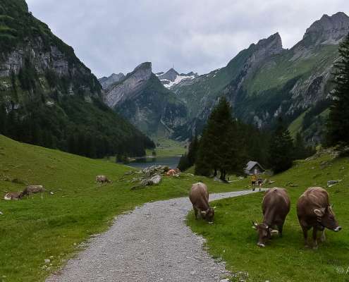 Fotoreise Schweiz - Alpstein
