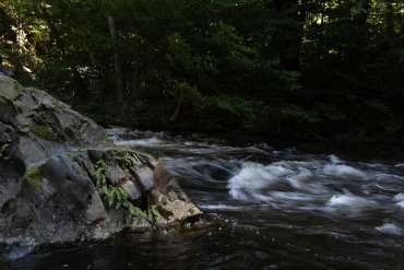 Fotoworkshop-Wochenende im Harz – Sommer © Petra Siegel