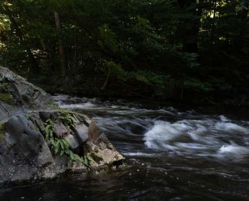 Fotoworkshop-Wochenende im Harz – Sommer © Petra Siegel