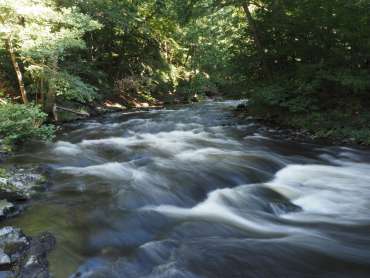 Fotoworkshop-Wochenende im Harz – Sommer © Ute K.