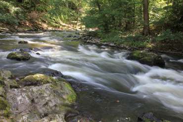 Fotowanderung durch das Bodetal