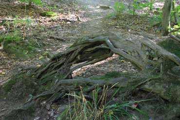 Fotowanderung durch das Bodetal