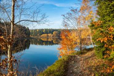 Fotokurs-Wanderwoche im Harz - Herbst