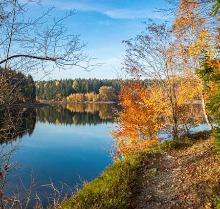 Fotokurs-Wanderwoche im Harz - Herbst