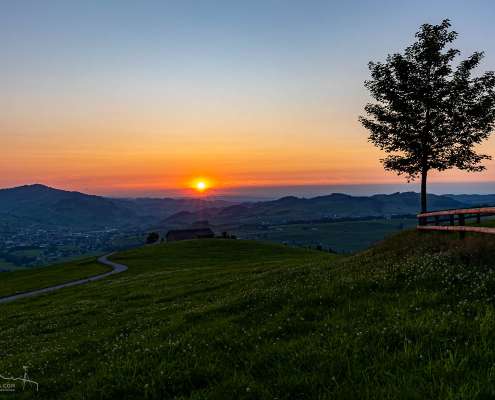 Sonnenuntergang und Blaue Stunde im Alpstein