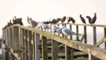 Fotoreise Ostseeinsel Rügen
