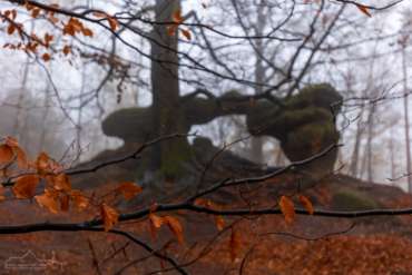 Kleines Prebischtor - Fotoreise Sächsische Schweiz
