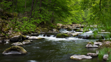 Fotowanderung durch das Bodetal