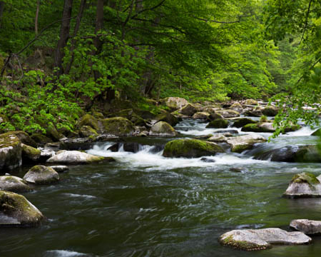 Fotowanderung durch das Bodetal