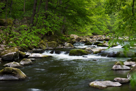 Fotowanderung durch das Bodetal
