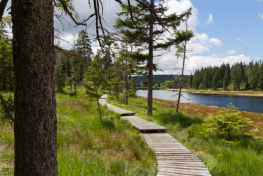 Fotowanderung im Nationalpark Harz - Oderteich