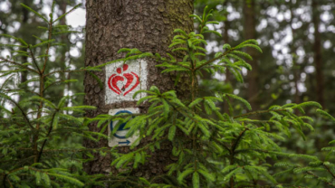 Fotokurs auf dem Liebesbankweg im Harz