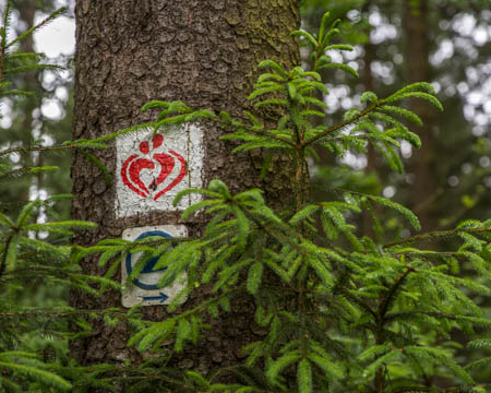 Fotokurs auf dem Liebesbankweg im Harz