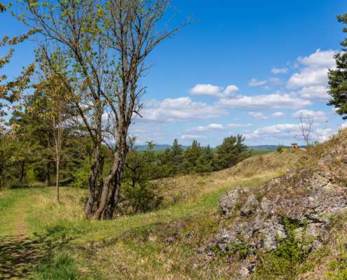 Fotoworkshop-Wochenende im Südharz