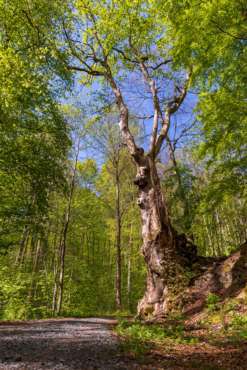 Fotoworkshop-Wochenende im Südharz