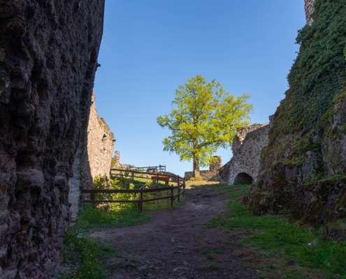 Fotoworkshop-Wochenende im Südharz