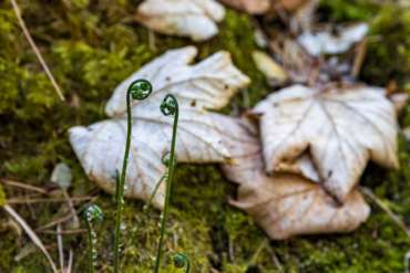 Fotoworkshop-Wochenende im Südharz