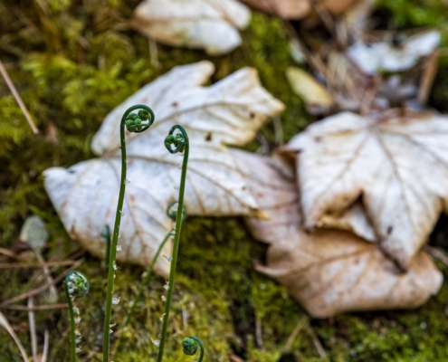 Fotoworkshop-Wochenende im Südharz