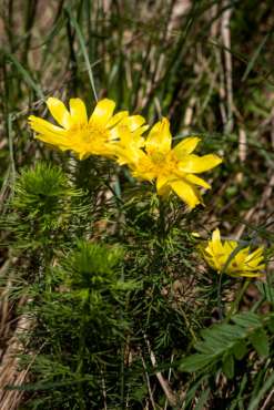 Fotoworkshop-Wochenende im Südharz