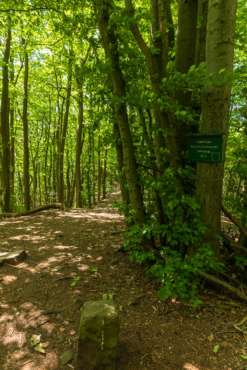 Fotowanderung Hanstein - Teufelskanzel im Eichsfeld