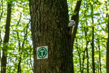 Fotowanderung Hanstein - Teufelskanzel im Eichsfeld