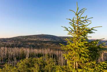 Brockenblick von der Achtermannshöhe im Harz
